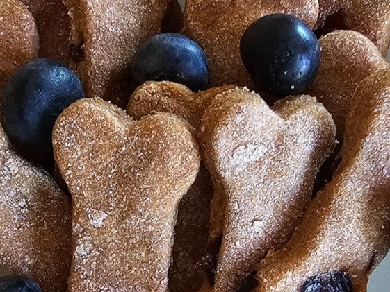 A close up of bone shaped apple blueberry dog treats with blueberries scattered with the treats.