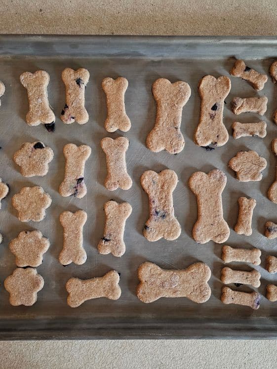 Bone and paw shaped apple blueberry dog treats on a cookie sheet ready to be baked.