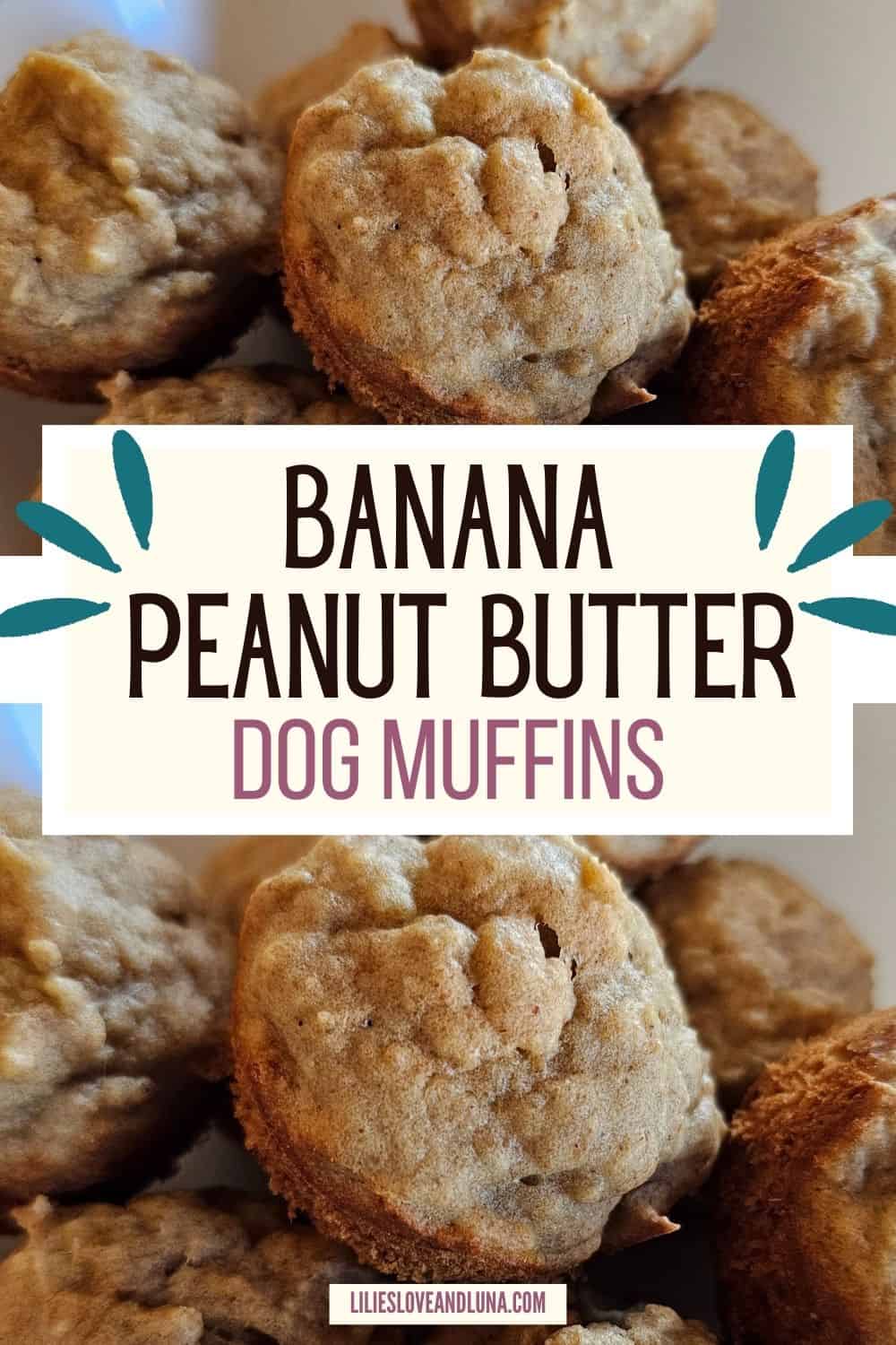 Pin image of banana dog muffins with a text overlay that reads banana peanut butter dog muffins.