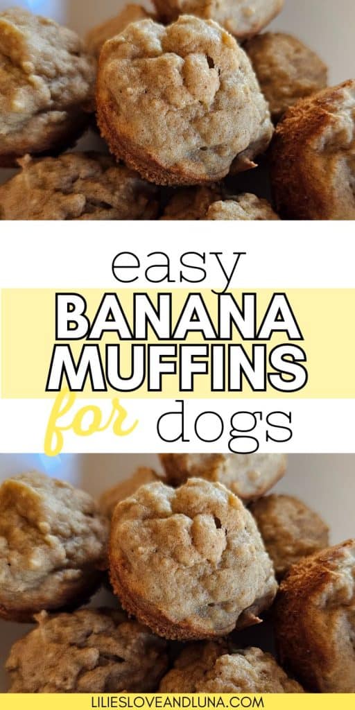 Pin image of banana dog muffins with a text overlay that reads easy banana muffins for dogs.