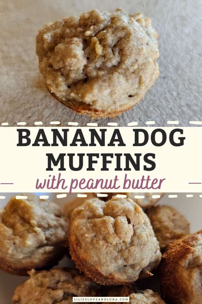 Pin image of banana dog muffins with a text overlay that reads banana dog muffins with peanut butter.
