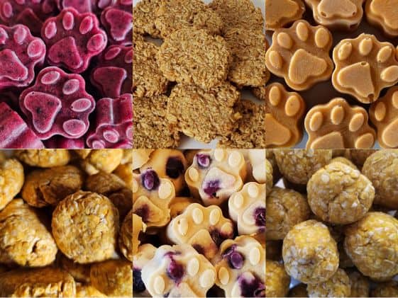 A collage of 3 ingredient dog treats.
