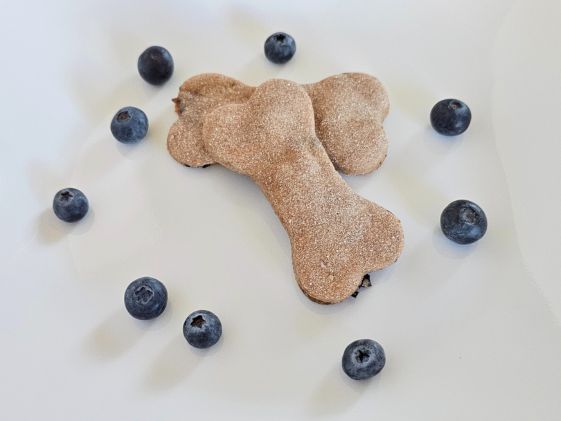 Two bone shaped blueberry dog treats surrounded by blueberries.
