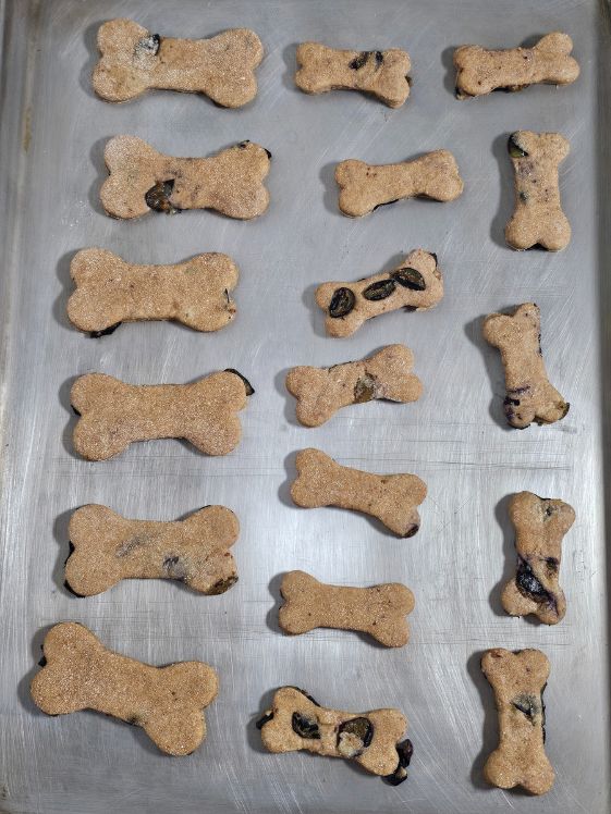 Bone shaped blueberry dog treats on a cookie sheet before baking.