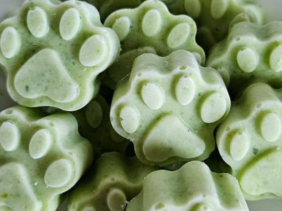 Paw shaped frozen cucumber yogurt dog treats.