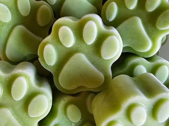 Paw shaped frozen cucumber yogurt dog treats.