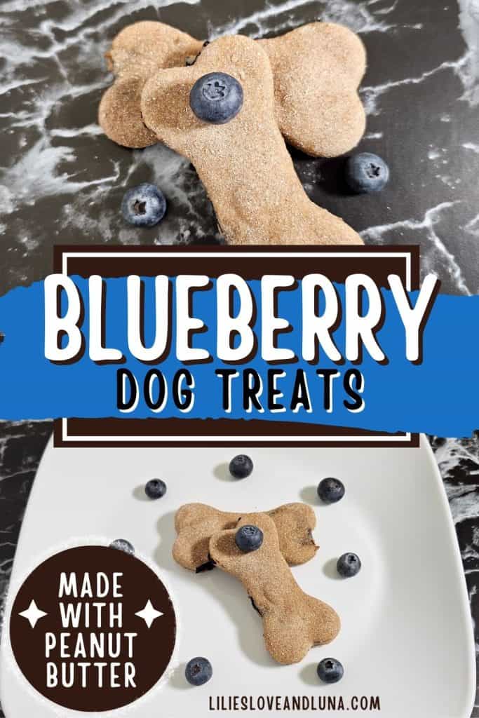 Pin image of bone shaped dog treats with a text overlay that reads blueberry dog treats.