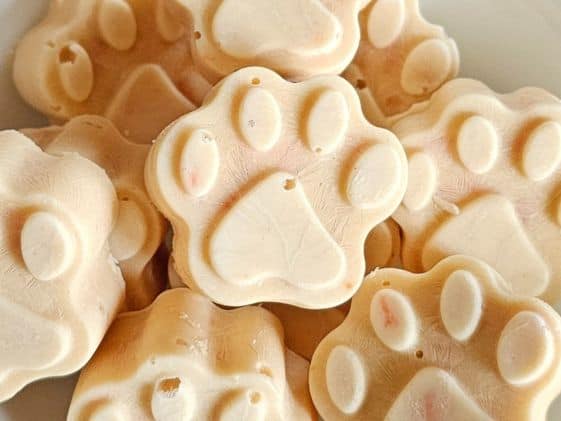 Paw shaped frozen carrot dog treats.