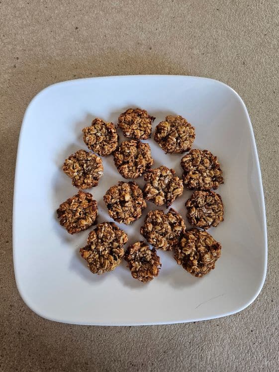 Baked banana oatmeal dog treats on a white plate.