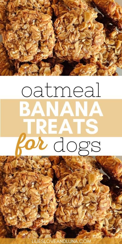 A close-up of baked oatmeal cookies made with banana and peanut butter, labeled as "Oatmeal Banana Treats for Dogs."