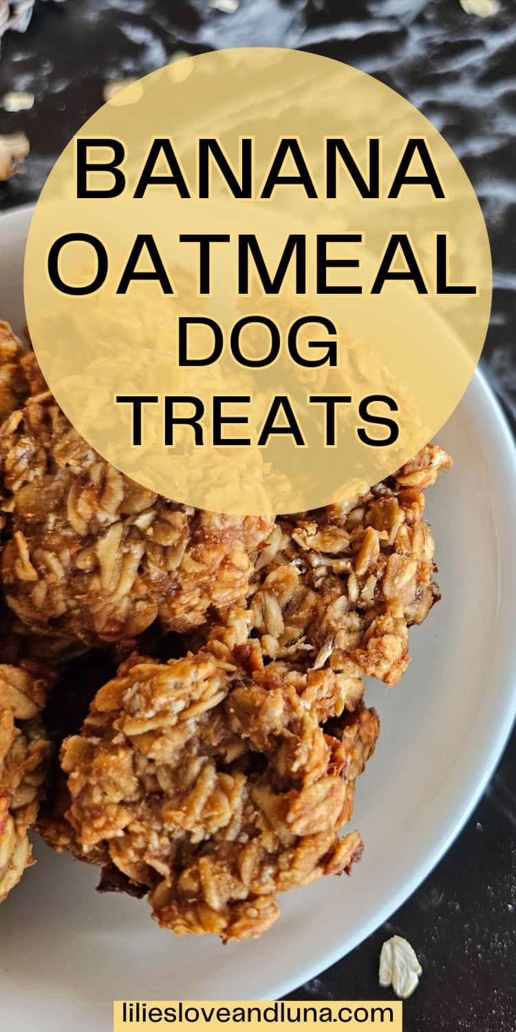 A close-up of baked banana oatmeal dog treats on a white plate, with a yellow overlay stating "Banana Oatmeal Dog Treats."
