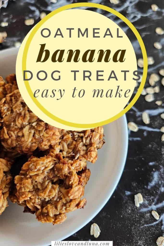 A bowl of homemade oatmeal banana dog treats is displayed, featuring crunchy biscuits made with oatmeal and banana, indicating they are easy to make.