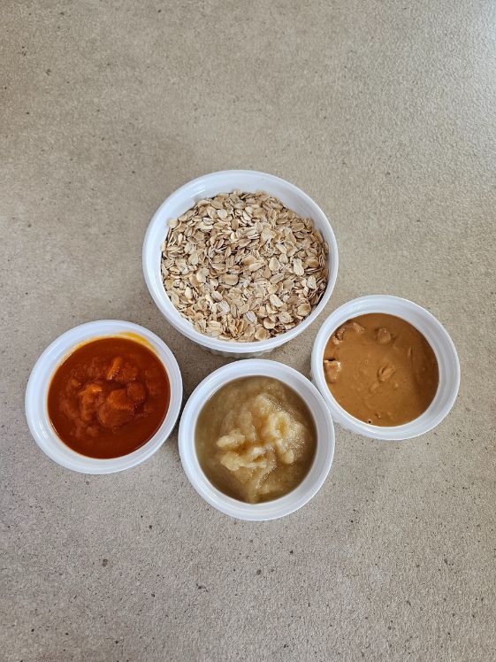 Old fashioned oats, carrot puree, applesauce, and peanut butter in individual white bowls on a counter.