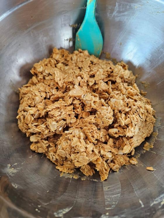 All ingredients mixed together.