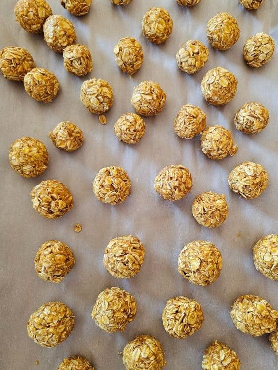 No bake carrot applesauce dog treats after chilling.