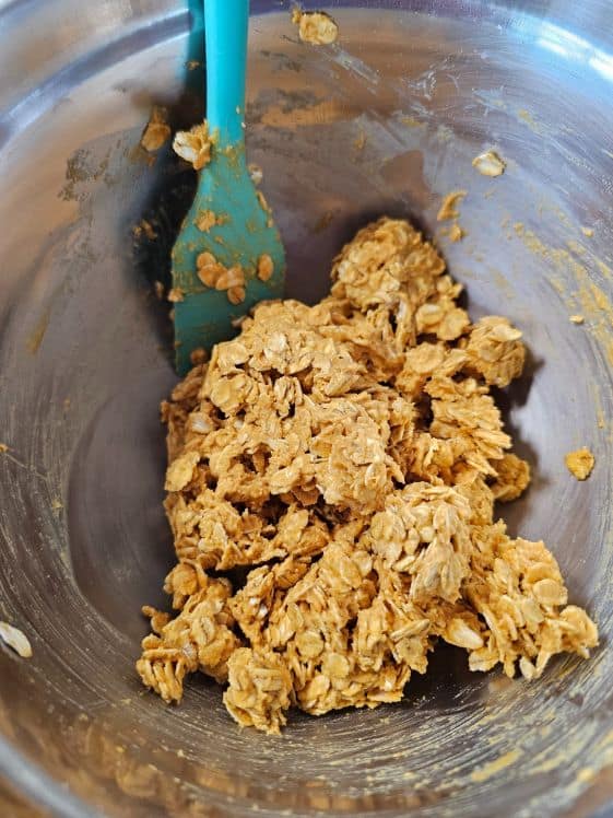 Peanut butter, carrot puree, and oats mixed together.
