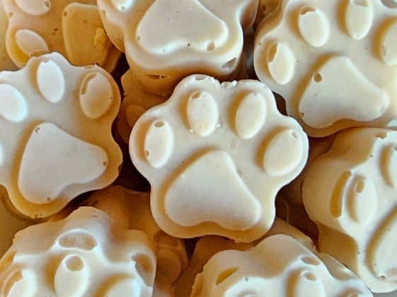 Close up of paw shaped ice cream for dogs.