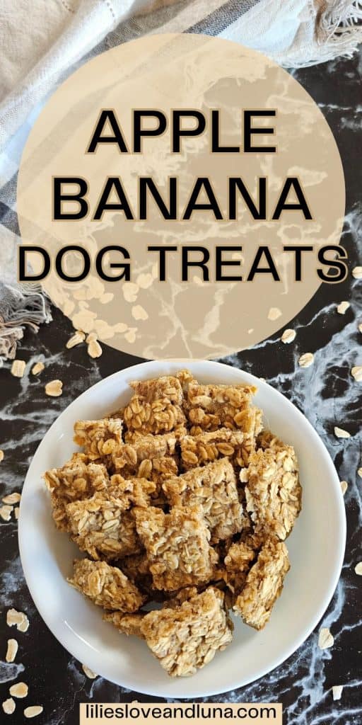 A bowl of homemade apple banana dog treats, made with oats, sits on a dark marble surface, accompanied by scattered oats.