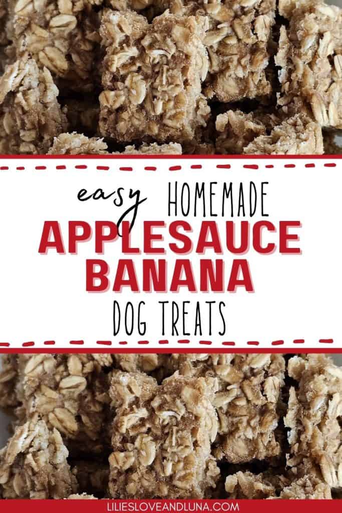 A close-up of homemade applesauce and banana dog treats, featuring a textured mixture of oats and other ingredients, labeled as "easy homemade applesauce banana dog treats."