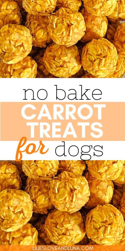 A close-up image of multiple no-bake carrot treats for dogs, resembling small, round balls made primarily of oats and carrots.