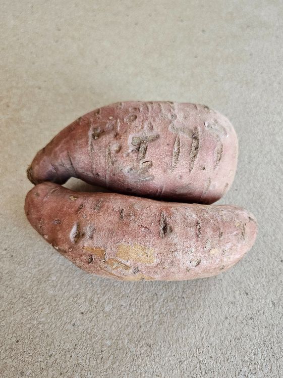 Two sweet potatoes on a counter top.
