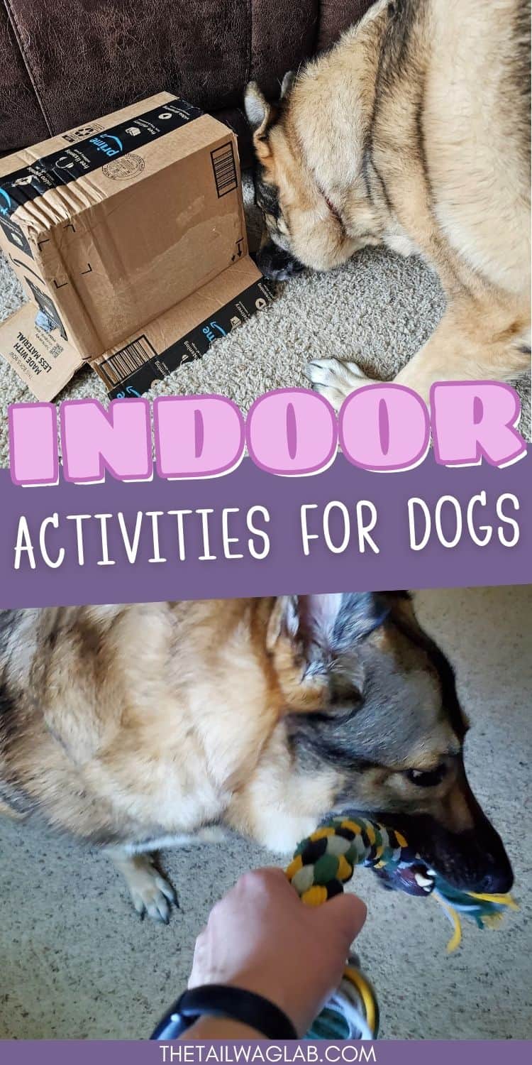 Two photos of a German Shepherd indoors, including a dog searching around a cardboard box and playing tug, with text that reads “Indoor Activities for Dogs.”