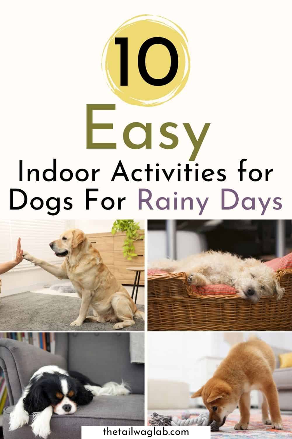 Pinterest graphic reading “10 Easy Indoor Activities for Dogs for Rainy Days” above four photos of dogs playing, training, resting, and exploring indoors.