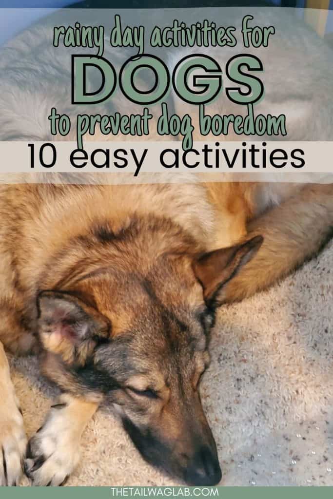 German Shepherd sleeping indoors with text over the image that reads “Rainy day activities for dogs to prevent dog boredom, 10 easy activities.”