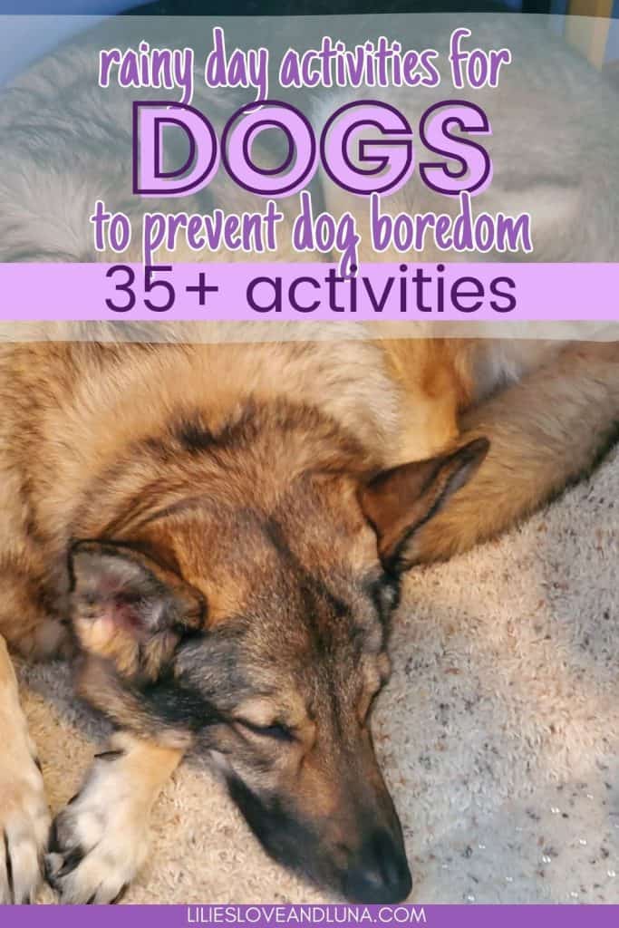 A sleeping dog lies on the carpet with text overlay promoting 35+ rainy day activities to prevent dog boredom and enhance canine enrichment.