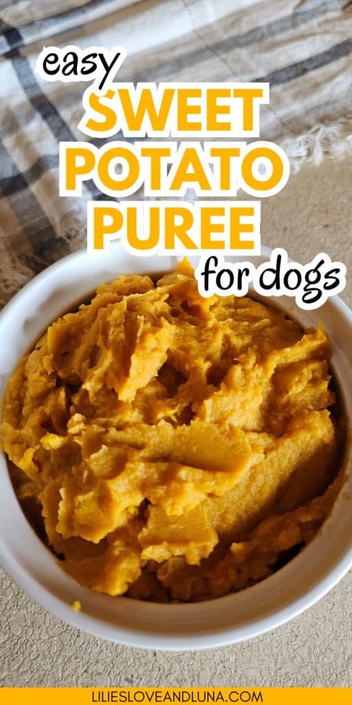 A bowl of easy sweet potato puree for dogs sits on a countertop, with text overlay highlighting its use for homemade dog treats.