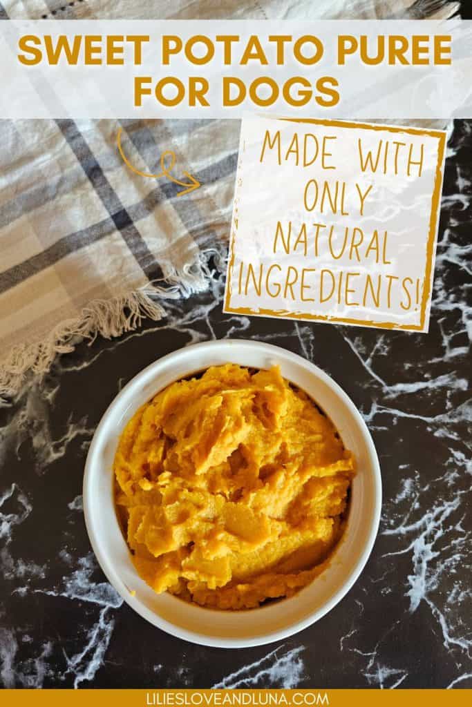 A bowl of sweet potato puree is placed on a dark marble surface, with a textured cloth in the background, highlighting its use in homemade dog treats.
