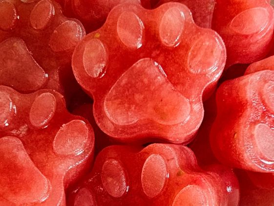 Close up of paw shaped frozen strawberry watermelon dog treats.