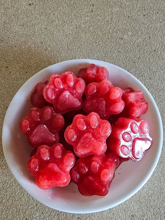 Paw shaped strawberry watermelon frozen dog treats.