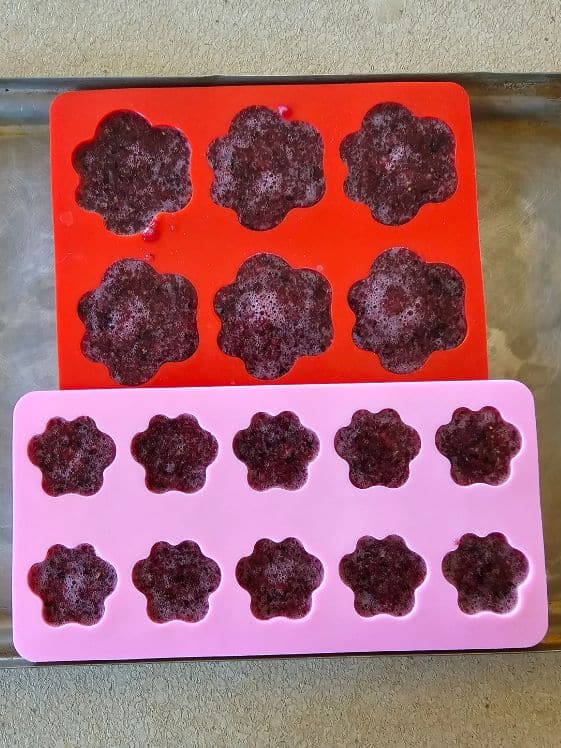 Watermelon berry puree in paw shaped molds ready for the freezer.