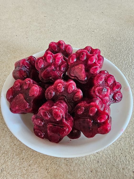 Paw shaped watermelon berry frozen dog treats.