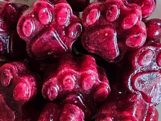 Closeup of paw shaped watermelon berry frozen dog treats.