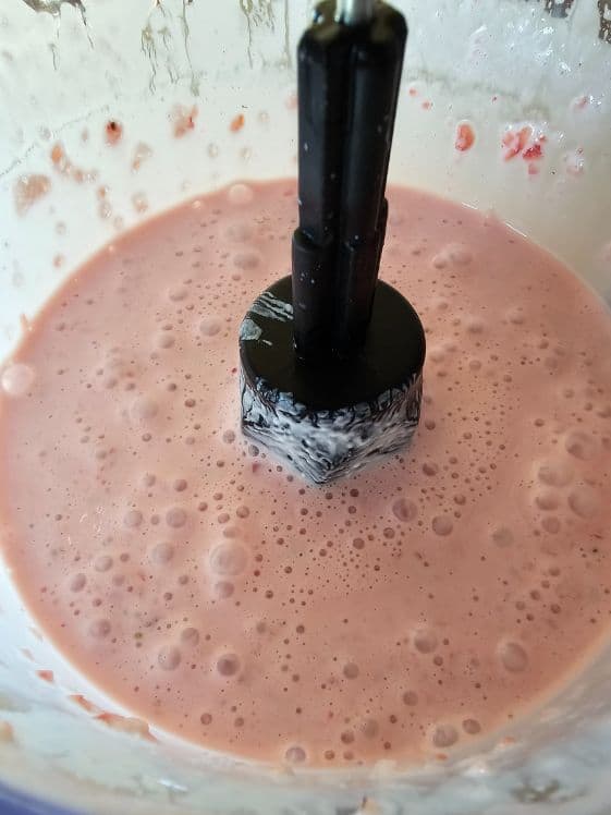 Strawberries, watermelon, and Greek yogurt pureed.