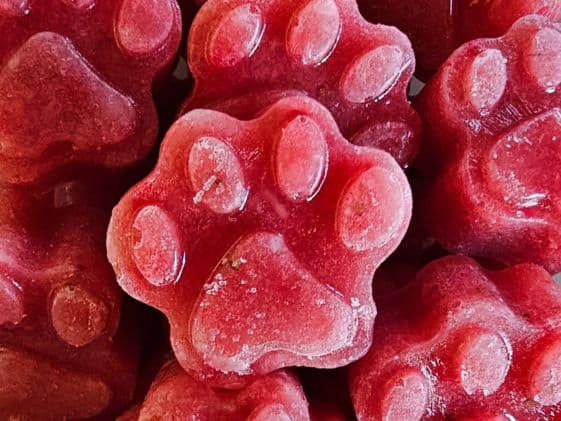 Close up of paw shaped banana melon berry pawsicles.