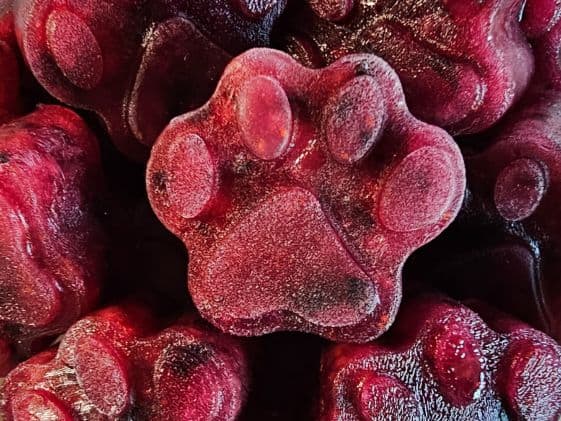 Paw shaped watermelon blueberry dog treats.