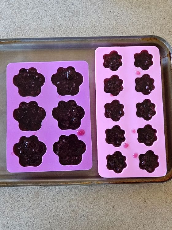 Paw shaped silicone molds filled with watermelon and blueberry puree.