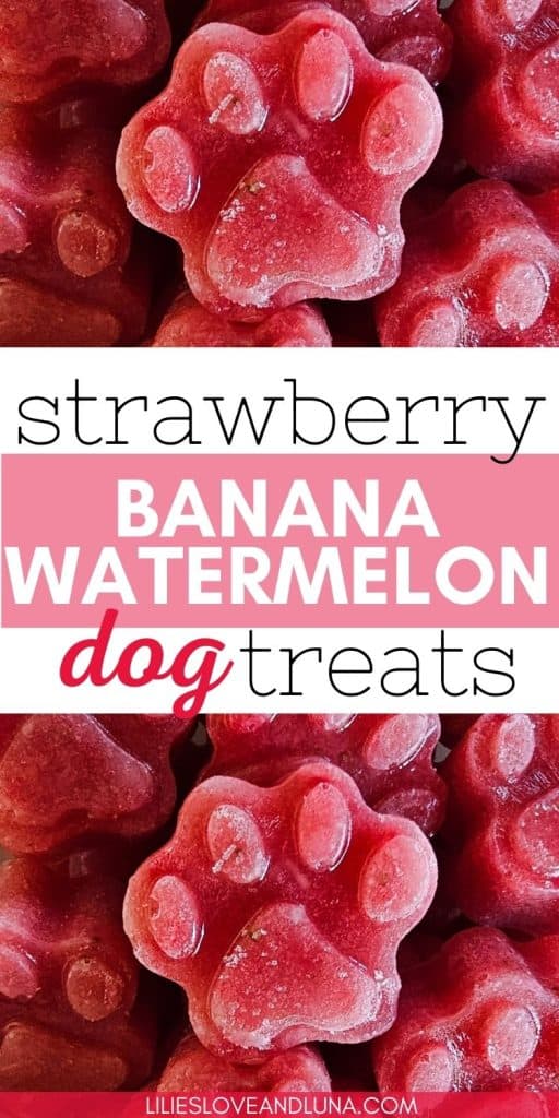 A close-up image of paw-shaped frozen dog treats labeled "strawberry banana watermelon dog treats.”