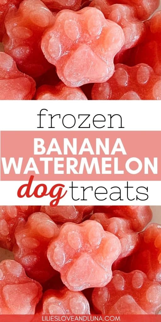 A close-up of frozen paw-shaped dog treats made with banana and watermelon, ideal for homemade summer dog snacks.