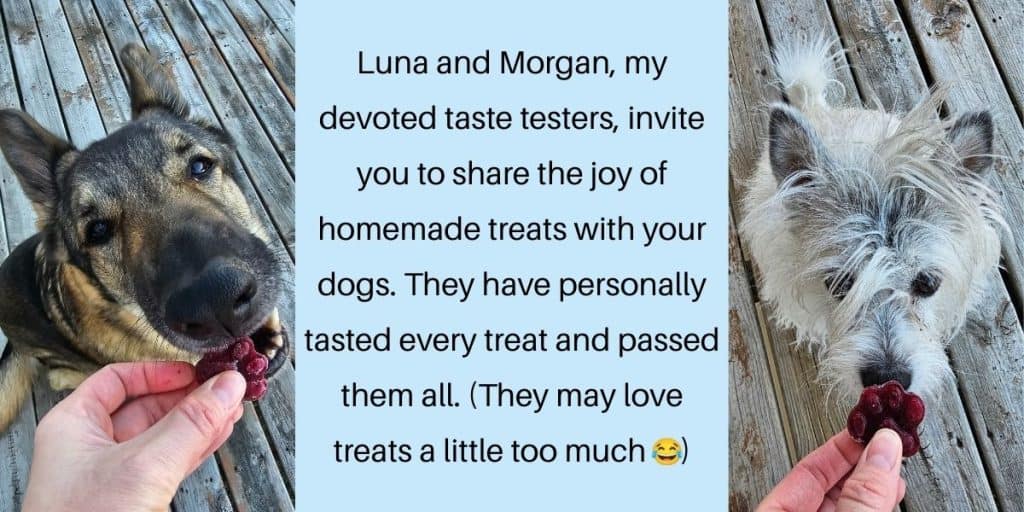 A German Shepherd biting a frozen dog treat next to a block of text that reads "Luna and Morgan, my devoted taste testers, invite you to share the joy of homemade treats with your dogs. They have personally tasted every treat and passed them all. (They may love treats a little too much)." A white dog sniffing a frozen dog treat is on the other side of the text.