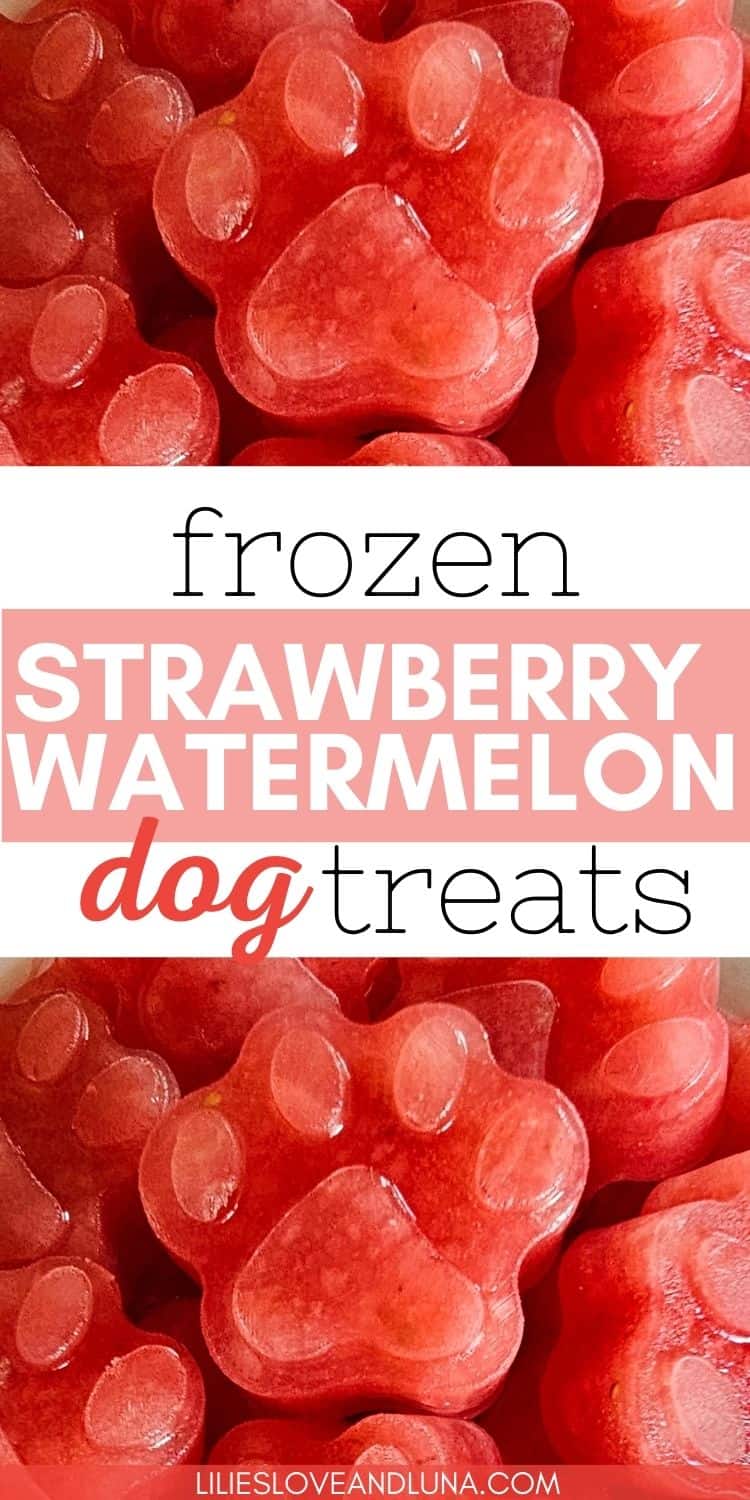 A collection of frozen strawberry and watermelon dog treats shaped like paw prints sits neatly arranged, highlighting a homemade option for pet owners seeking refreshing summer snacks for their dogs.