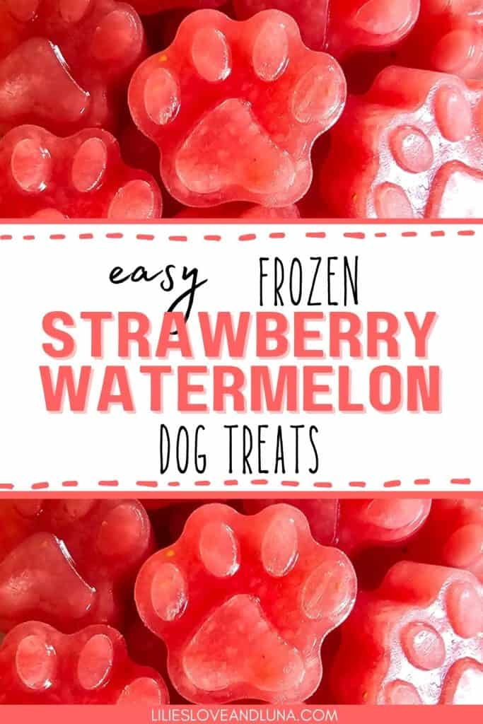 A close-up image of paw-shaped ice cube treats made from strawberry and watermelon, labeled as "easy frozen strawberry watermelon dog treats."