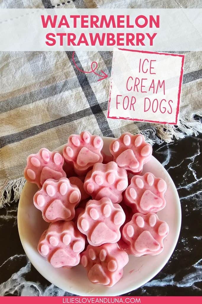  A dish of pink, paw-shaped frozen treats made with watermelon and strawberry is presented on a marble countertop, labeled as "Ice Cream for Dogs."
