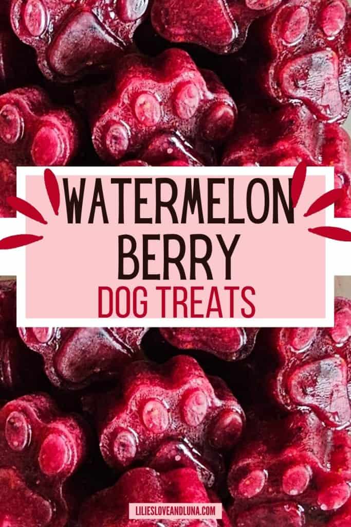 A close-up of homemade watermelon berry dog treats shaped like paw prints, showcasing a vibrant red color and a glossy finish.