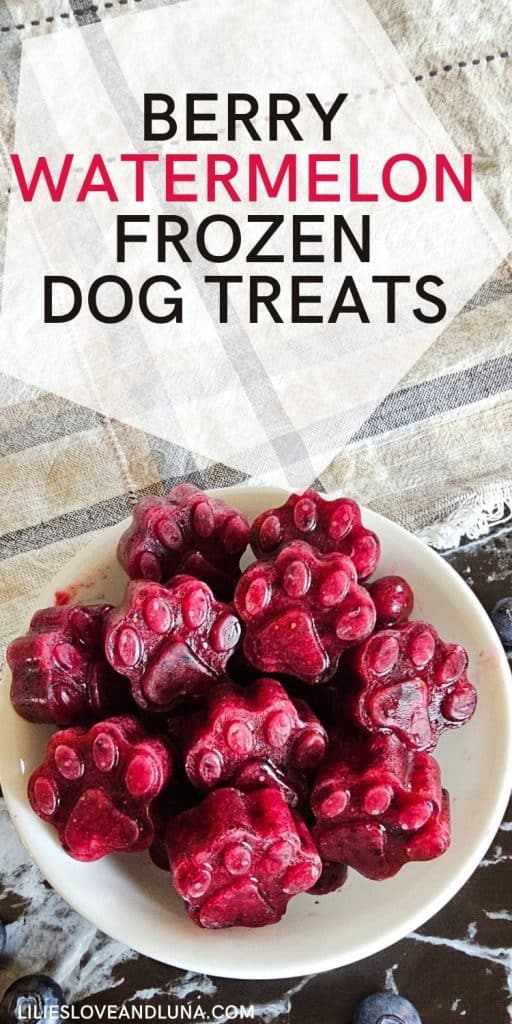 A bowl of homemade berry watermelon frozen dog treats shaped like paw prints is placed on a textured surface.