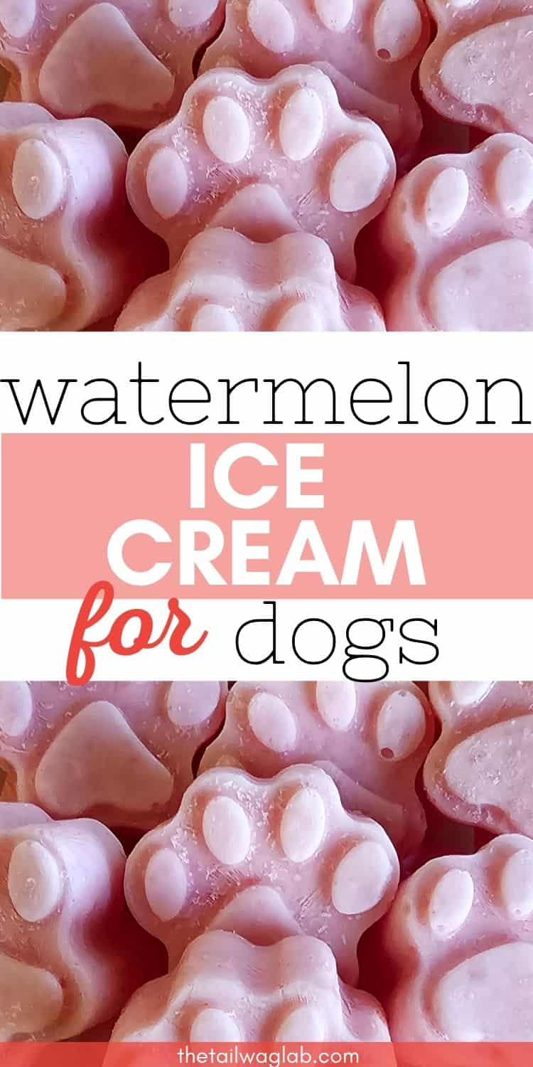 A close-up image of pink paw-shaped frozen dog treats labeled "Watermelon Ice Cream for Dogs."