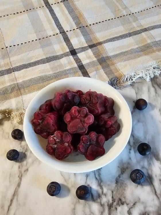 A bowl of paw shaped watermelon blueberry frozen dog treats surrounded by blueberries.